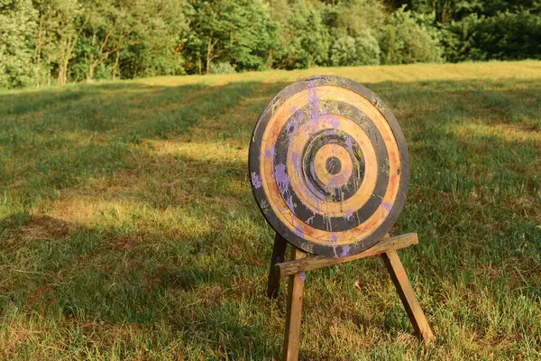 Oyun ve dart için hedef çimlerin üzerinde duruyor. 