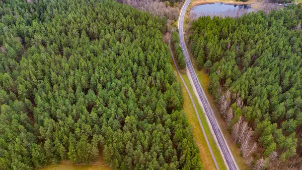 Ormanlı ve arabalı bir yol manzarası.