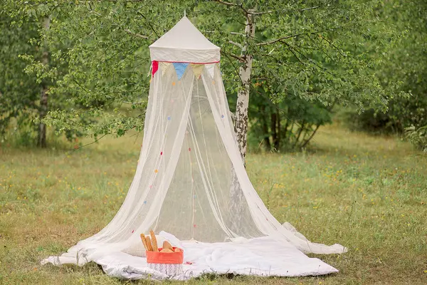 Yazın ormanda piknik.