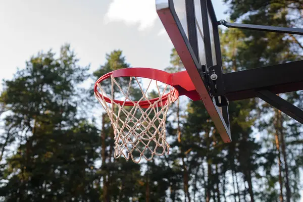 Ormanda mavi ve turuncu renkli basketbol potası