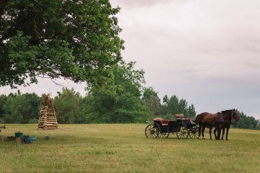 Yazın büyük yeşil ağacın yanındaki bir çiftlikte at arabası ve at arabası.