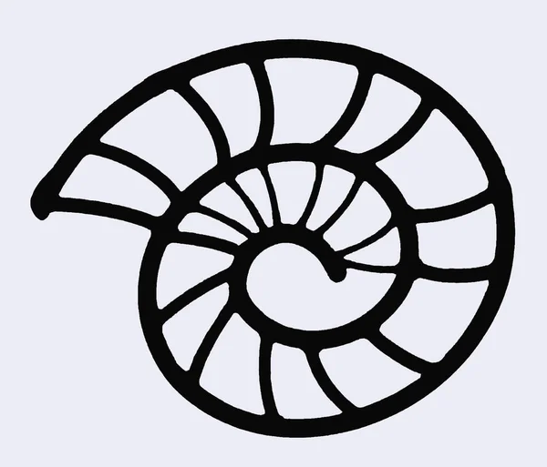 Conception Abstraite Sans Soudure Ammonite — Photo