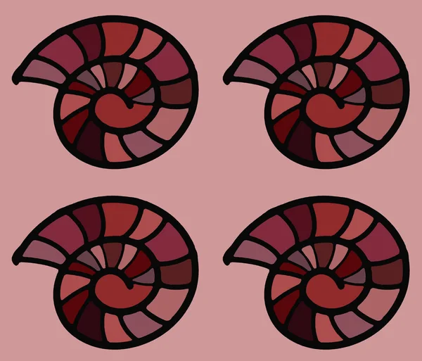 Abbildung Von Ammoniten — Stockfoto