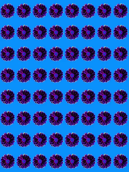 Motif Géométrique Floral Abstrait Avec Différentes Formes — Photo