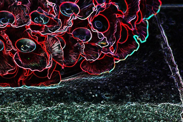 红外光记忆日罂粟分形背景 — 图库照片