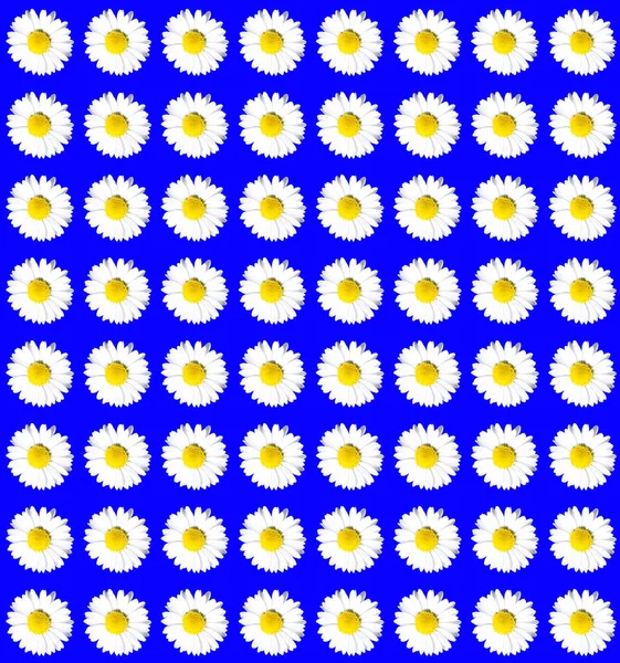 Αδιάλειπτη Μοτίβο Λουλούδια Εικονογράφηση Διανύσματος — Φωτογραφία Αρχείου