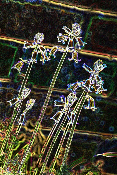 Abstract Tuin Bloemenscene — Stockfoto