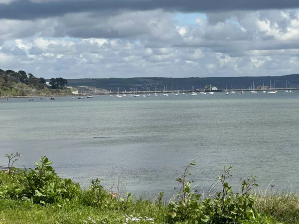 要旨眼の風景 Dorset England — ストック写真