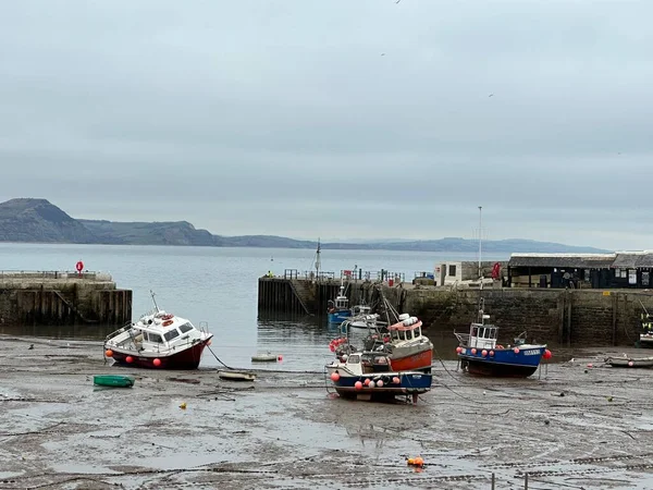 Αλιευτικά Σκάφη Και Σκάφη Στην Ακτή Στο Λιμάνι Lyme Regis — Φωτογραφία Αρχείου