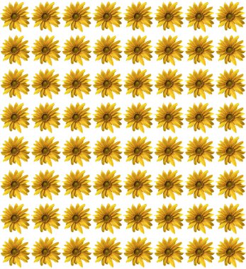 Ayçiçeğiyle kusursuz desen