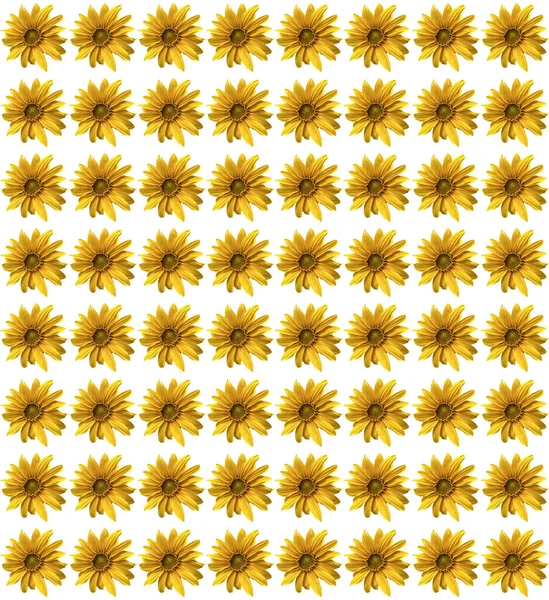 Bezszwowy Wzór Słonecznikiem — Zdjęcie stockowe