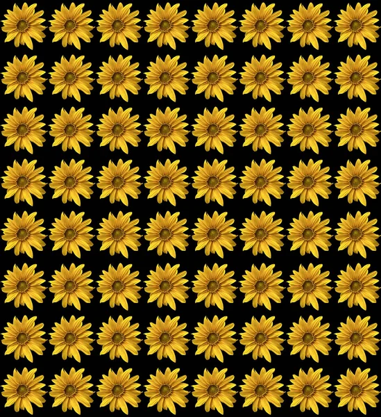 Seamless Pattern Sunflowers Black Background — Stock Photo, Image