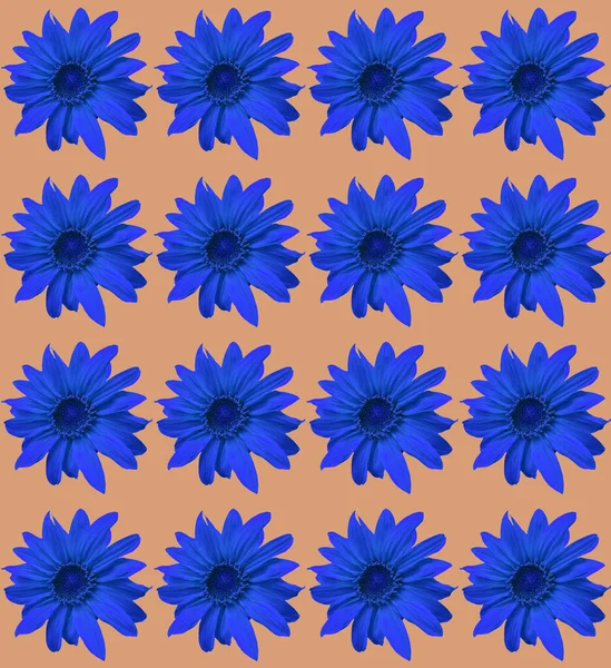 Seamless Pattern Abstract Geometric Sunflower Pattern — Stock Photo, Image