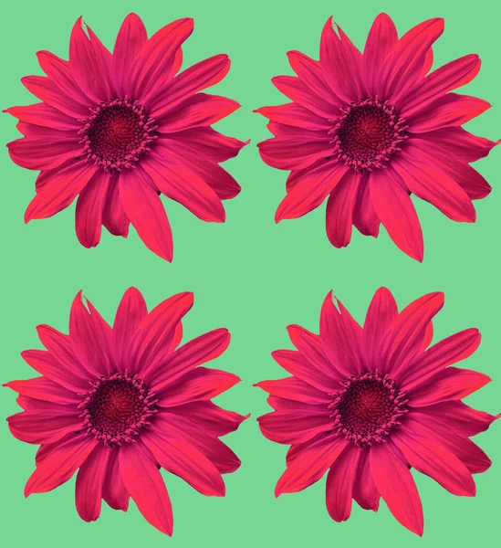 Nahtloses Muster Mit Bunten Sonnenblumen — Stockfoto