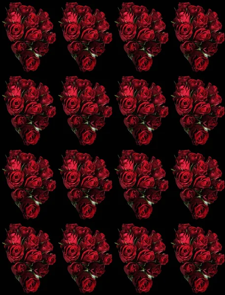 黒い背景の美しい赤いバラ — ストック写真