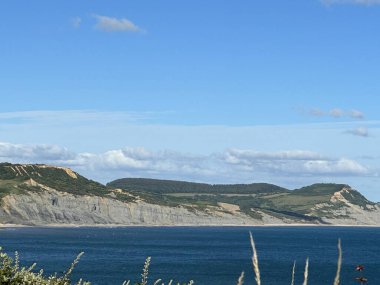 Jurasik kıyı manzarası Lyme Regis Dorset İngiltere 