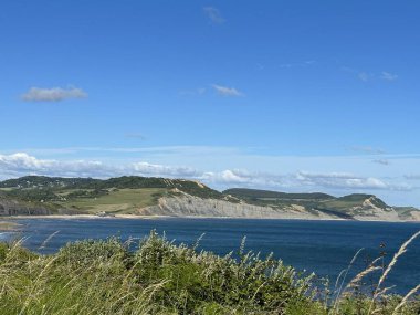 Jurasik kıyı manzarası Lyme Regis Dorset İngiltere 