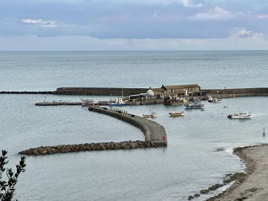 Lyme Regis manzarası Dorset İngiltere 