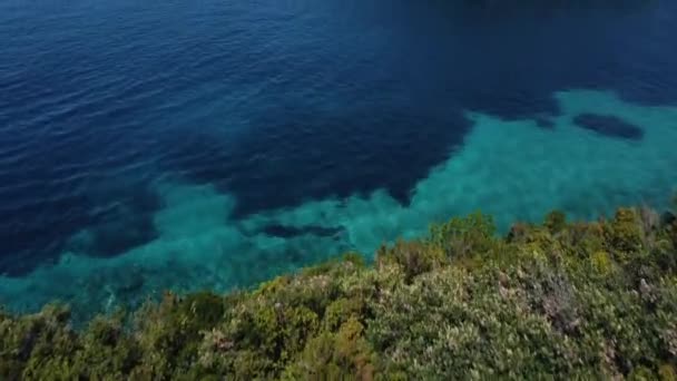 Блакитний Океан Зелений Ліс Узбережжі Море Висоти Лазурне Узбережжя Скутер — стокове відео