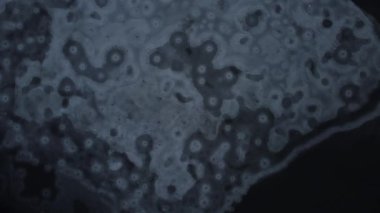 Suda buz var. Yüksekten bak. Gölde ve nehirde kış. Kış buzlu manzarası. Yüksek kalite 4k görüntü