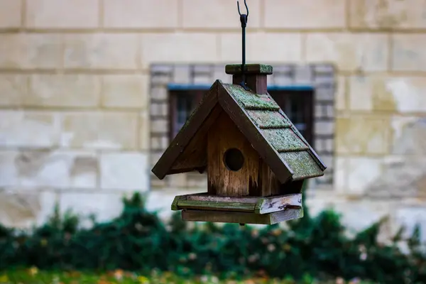 Tahta kuş evi, arka planda bulanıklık var. Çek Cumhuriyeti 'nin Hrub Rohozec Şatosu' nda çekilmiş..
