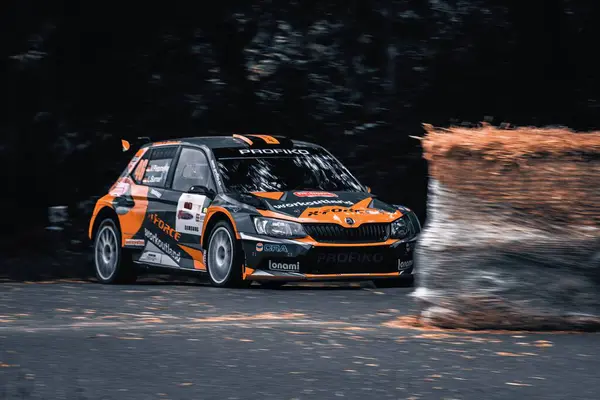 Bir motor sporu rallisi yarışmasında ralli arabası yolda yakalandı.