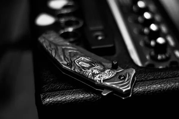 Yakından çekilmiş siyah beyaz bir bıçak resmi. Sapında ayrıntılı bir kaplan oyması var. Arka planda düğmeleri olan desenli bir gitar amplifikatörüne yerleştirilmiş..