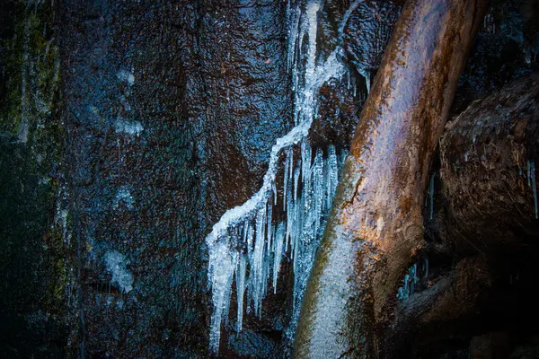 Donmuş bir ağaç dalıyla kayalardan sarkan doğal buz saçaklarının detaylı görüntüsü. Kış manzarası buz oluşumlarını, engebeli dokuları ve soğuk mevsimsel atmosferi vurguluyor..