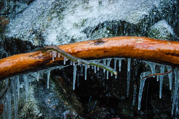 Donmuş bir ağaç gövdesiyle kayalık bir yüzeyden sarkan doğal buz saçakları. Buz oluşumlarını ve soğuk havada dokulu yüzeyleri gösteren kış manzarası ayrıntıları.