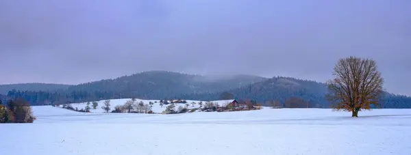 Aydınlık güneşli bir günde karla kaplı bir arazide kış ormanının arka planına karşı