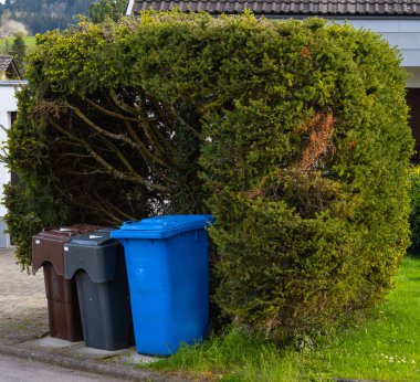 Çeşitli çöp, geri dönüşüm ve ayrı atık toplama kavramlarıyla dolu çöp kutularının toplanması