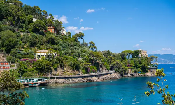 İtalya 'da Akdeniz kıyıları, Portofino yeşilliğe batmış bir dağın zeminine karşı, tatilcilerin olduğu güzel bir plaj.