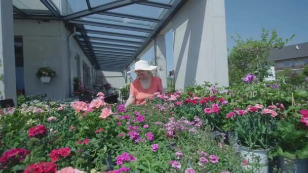 Starší Žena Brýlích Vybírá Květiny Květinářství Portrét Nadšeného Důchodce Který — Stock video