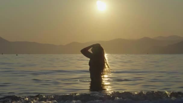 Silhouette Une Fille Élancée Bord Mer Avec Des Vagues Sur — Video