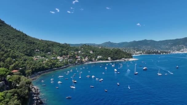 ヨーロッパ イタリア ティグリオのピノアレッポ ジェノヴァ近くの地中海の自然保護区 ボートやヨットと港 素晴らしい自然 — ストック動画