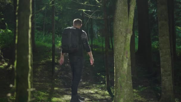 Persoană Care Face Drumeții Sau Camping Aer Liber Plimbă Lungul — Videoclip de stoc