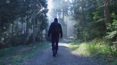 Gezgin, güneşin parlak ışınlarının arka planına karşı ormanda yürür.