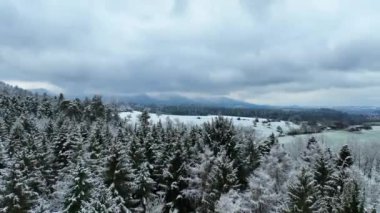 Arka planda köyü olan karlı bir ormanın insansız hava aracı tarafından çekiliyor.