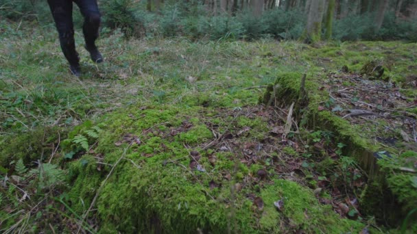 森林里拿着一把血淋淋的刀的人 — 图库视频影像