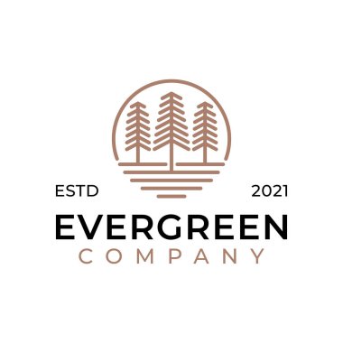 Çam her zaman yeşil ya da kozalaklı sedir ağacı kozalaklı tarla kuşu, çam ağacı ormanları bağlama çizgisi sanat logosu tasarım şablonu