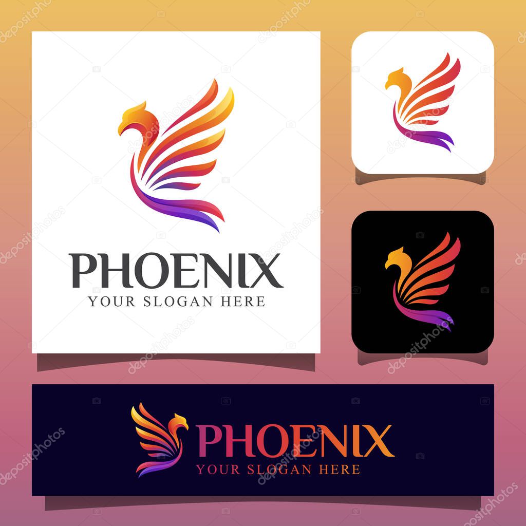 Modern color phoenix bird or eagle logo design