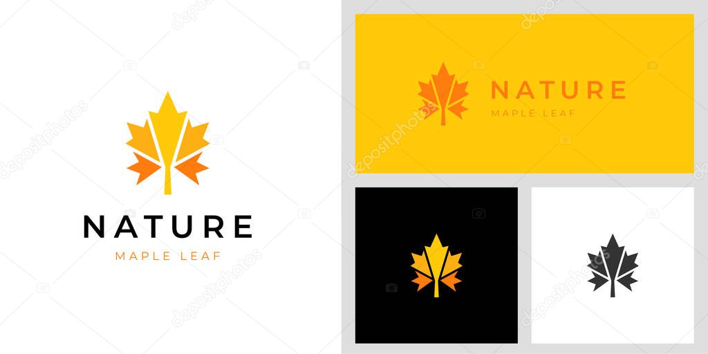 Nature maple leaf logo design for season summer and fall logo idea