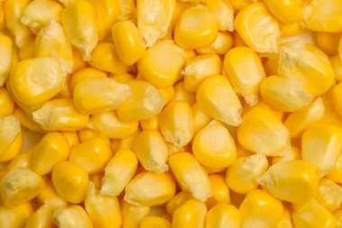 Sarı mısır tanelerini kapatın..
