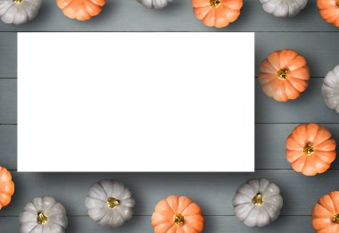 Gri ahşap üzerinde küçük balkabakları kopyala