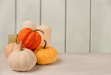 Beyaz duvar arkaplanındaki yazı için alanı olan tahta masanın üzerinde Cadılar Bayramı balkabakları