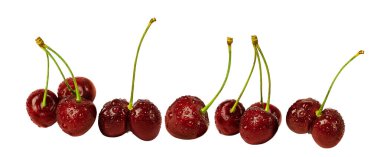 Red fresh whole cherry with water drops on white background with copy space clipart