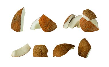 Çeşitli hindistan cevizi parçaları, kabuklu ve farklı taraflardan, farklı boyutlarda yakın plan..