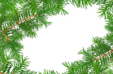 Beyaz arkaplanda izole edilmiş köknar ağacı dallarının Noel yeşil çerçevesi