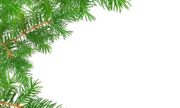 Saf beyaz arkaplanda yeşil köknar iğneli köknar ağacı resmi olan bayram afişi