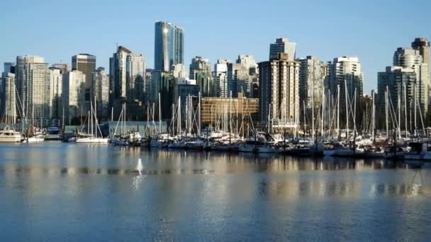 Стэнли Парк Включая Ванкувер Канада Через Мой Объектив — стоковое видео